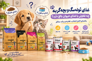 غذای تولهسگ و بچهگربه چه تفاوتی با غذای حیوان بالغ دارد؟